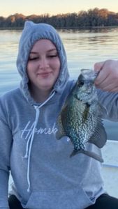 Crappie fish caught in FL