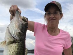 A Largemouth Bass caught while fishing in FL