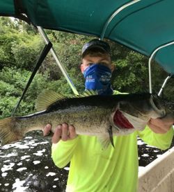 Largemouth Bass caught while fishing in Grand Island