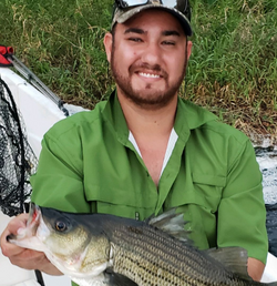Striped Bass caught while fishing on Grand Island