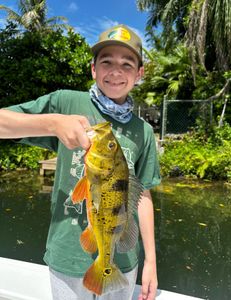 Lone angler fishing in Miami