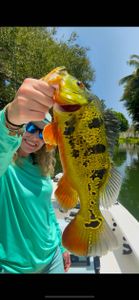 Angler with fishing rod in Miami