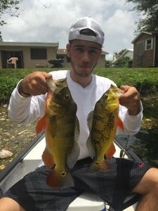 Two anglers fishing with rod and reel in Miami