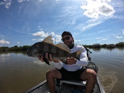 Caught a black drum fish while fishing in FL
