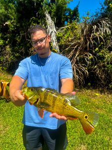 Fishing in FL