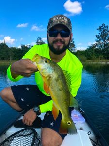 Fisherman with a catch in Miami