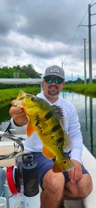 Angler with fishing rod in FL