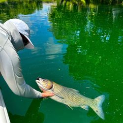 Fishing adventure in FL