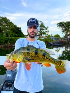 Angler fishing with rod in Florida