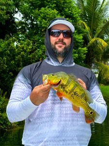 Angler fishing in Florida