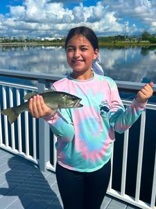 Angler fishing in Miami
