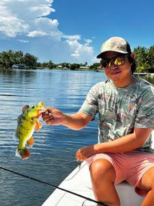 Angler fishing in Miami