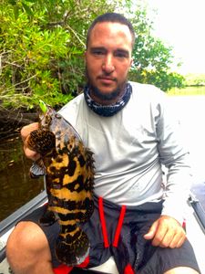 Anglers fishing in Florida