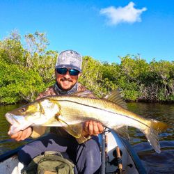 Impressive snook fish caught in Miami, Florida