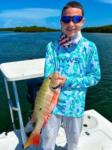 Mutton Snapper caught while fishing in Miami