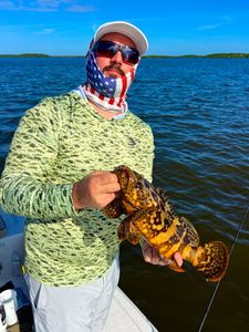 Orange-spotted grouper fish caught by angler in Miami