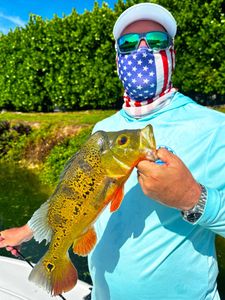 Peacock Bass caught in FL
