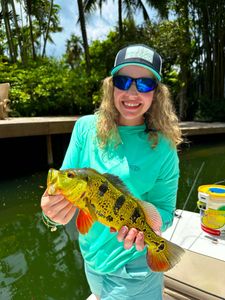 Peacock bass fishing in FL
