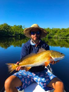 Redfish caught in Miami
