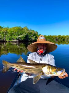 Snook fish caught in Miami