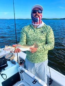 Spotted Weakfish caught in FL while fishing