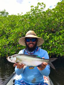 Tarpon fish caught on fishing trip in FL