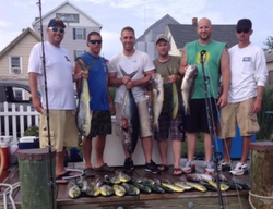 3 channel catfish and yellow bullhead caught fishing in maryland