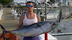 Blackfin tuna fish caught while fishing in MD