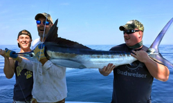 Majestic blue marlin caught off the coast of Ocean City