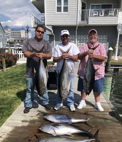 Five Mahi Mahi and Blackfin Tuna fishing in Maryland