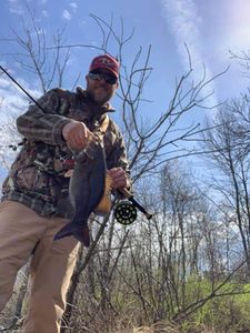 Angler fishing in Wisconsin Rapids, best great catch