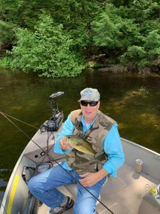 1 angler fishing in WI