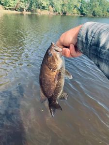A perfect fishing adventure in Wisconsin Rapids