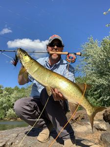 Angler holding a 29-inch fish in WI