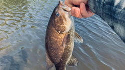 A fishing trip in Wisconsin Rapids