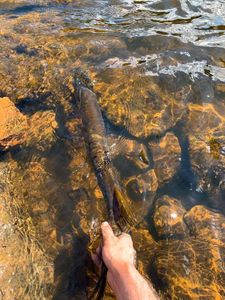 Fishing in WI