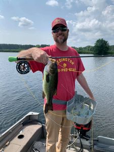 Largemouth bass caught while fishing in WI