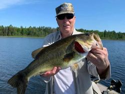 Largemouth bass caught in Wisconsin Rapids