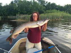 A massive northern pike caught while fishing in Wisconsin Rapids