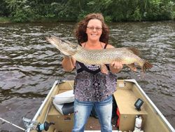 A 31-inch Northern Pike caught while fishing in WI