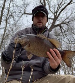 Smallmouth bass caught in Wisconsin Rapids