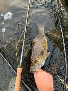 Great fishing trip in WI