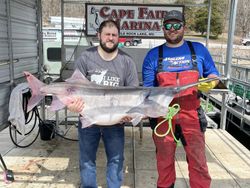Giant paddlefish moment!