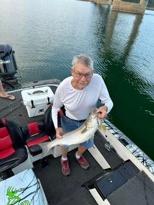 Missouri's Premier Fishing Guides