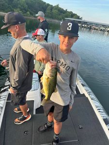Missouri Fishing Guides: Bass Fishing