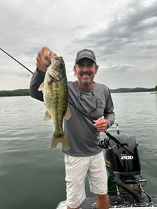 Lake Fishing Paradise Found Here, Bass