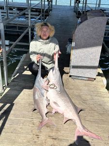 Two big tawny nurse shark and gafftopsail sea catfish caught while fishing in Branson