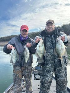 Four crappie fish caught in Missouri while fishing