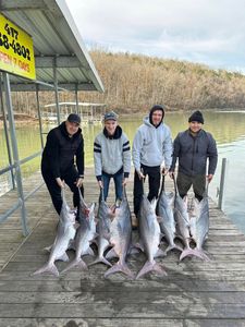 4 hardhead sea catfish caught in Branson