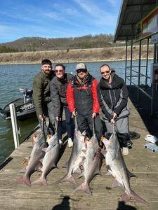 5 blue catfish and hardhead sea catfish caught while fishing in MO